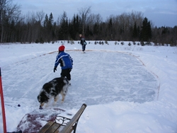 Skating Rink